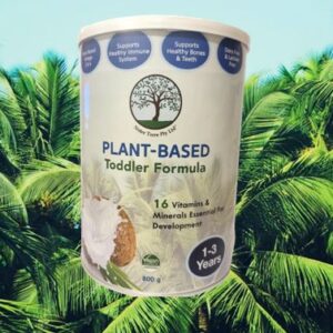 Notre Terre Plant Based Toddler Formula (1-3 Years)